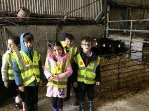 Visit to a Local Farm