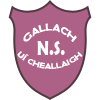 Castleblakeney N.S. Logo